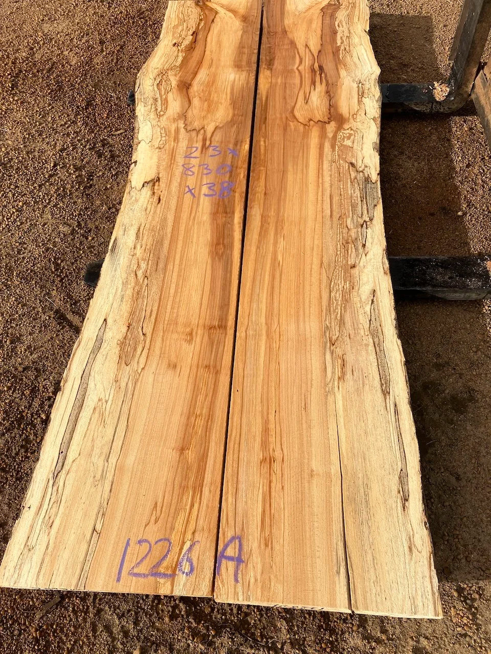 1226A Spalted Beech