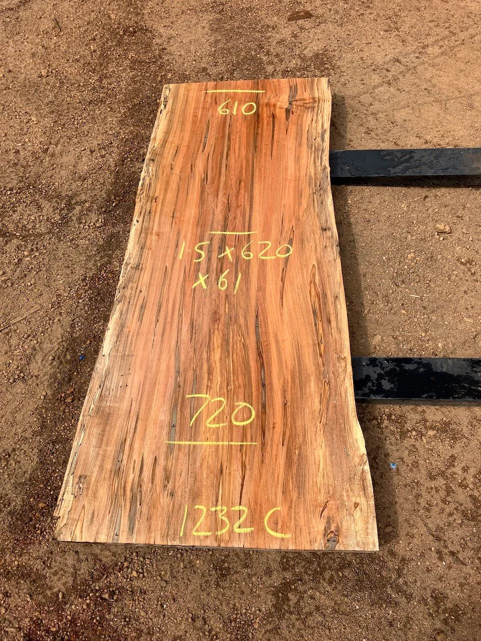 1232C ambrosia Maple