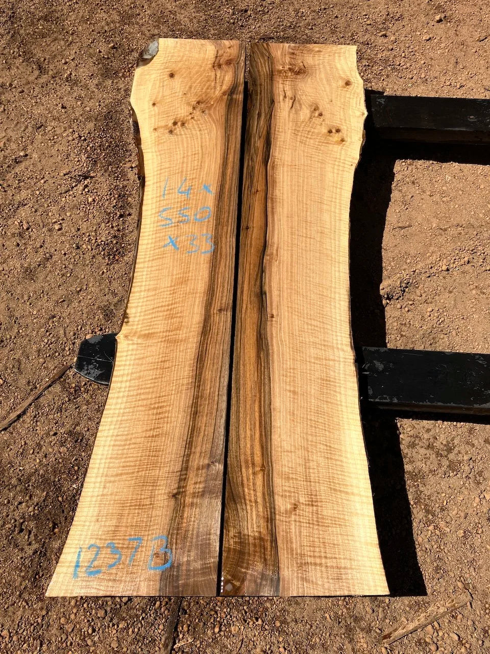 1237B English Walnut