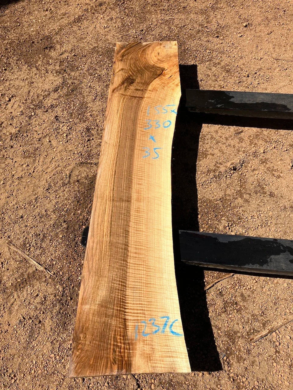 1237C English Walnut