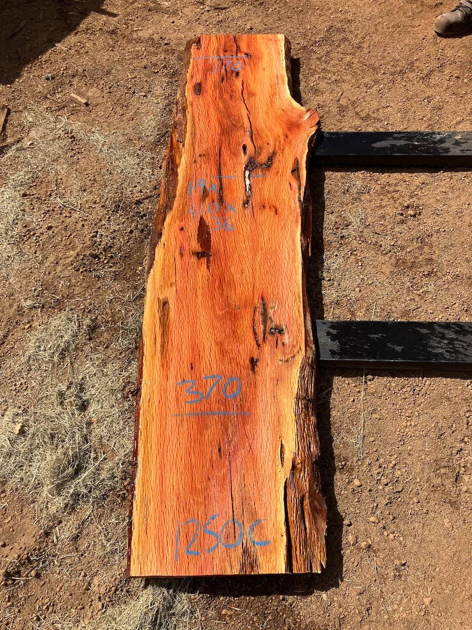 1250C Sheoak