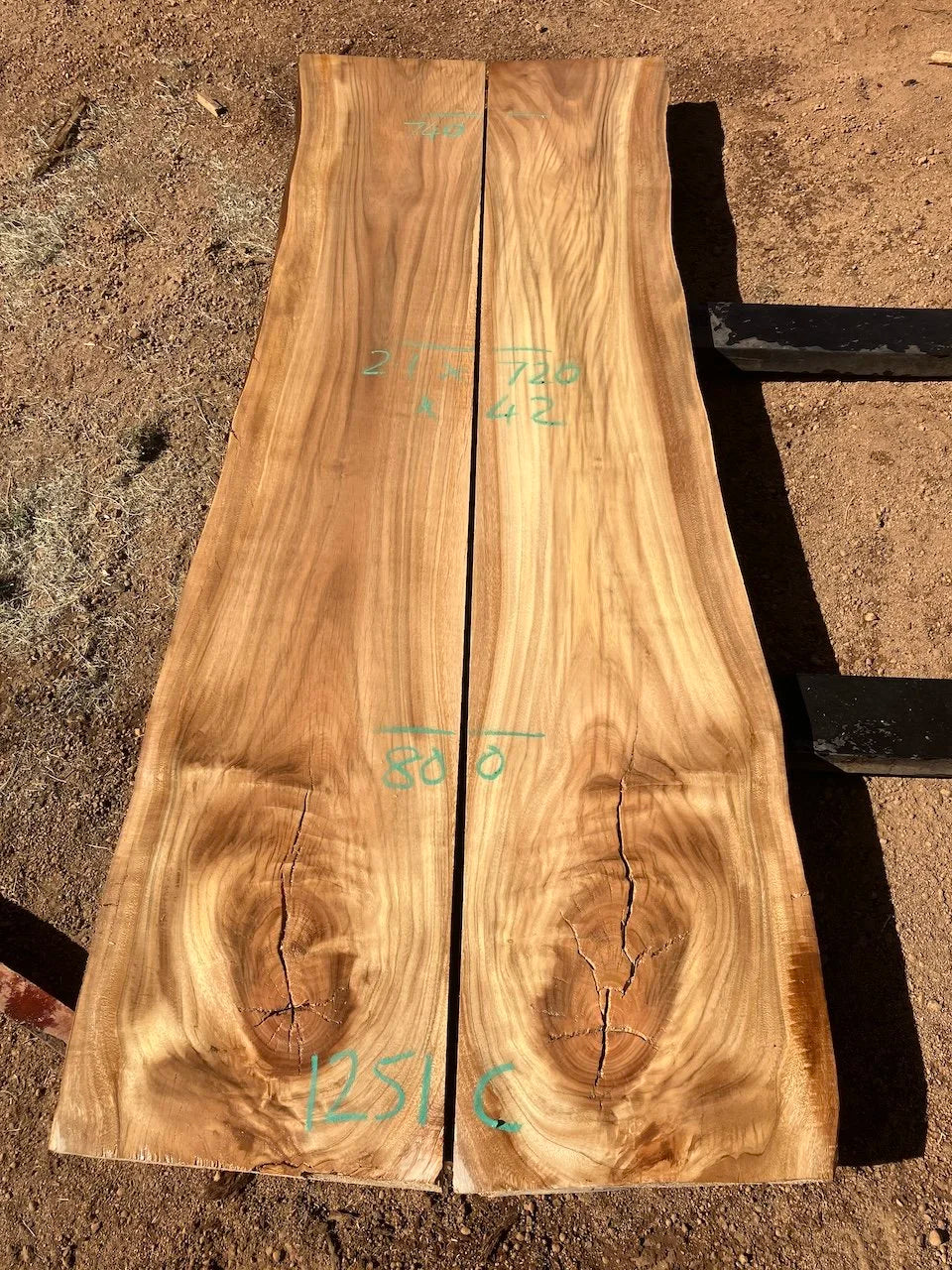1251C Spotted Gum