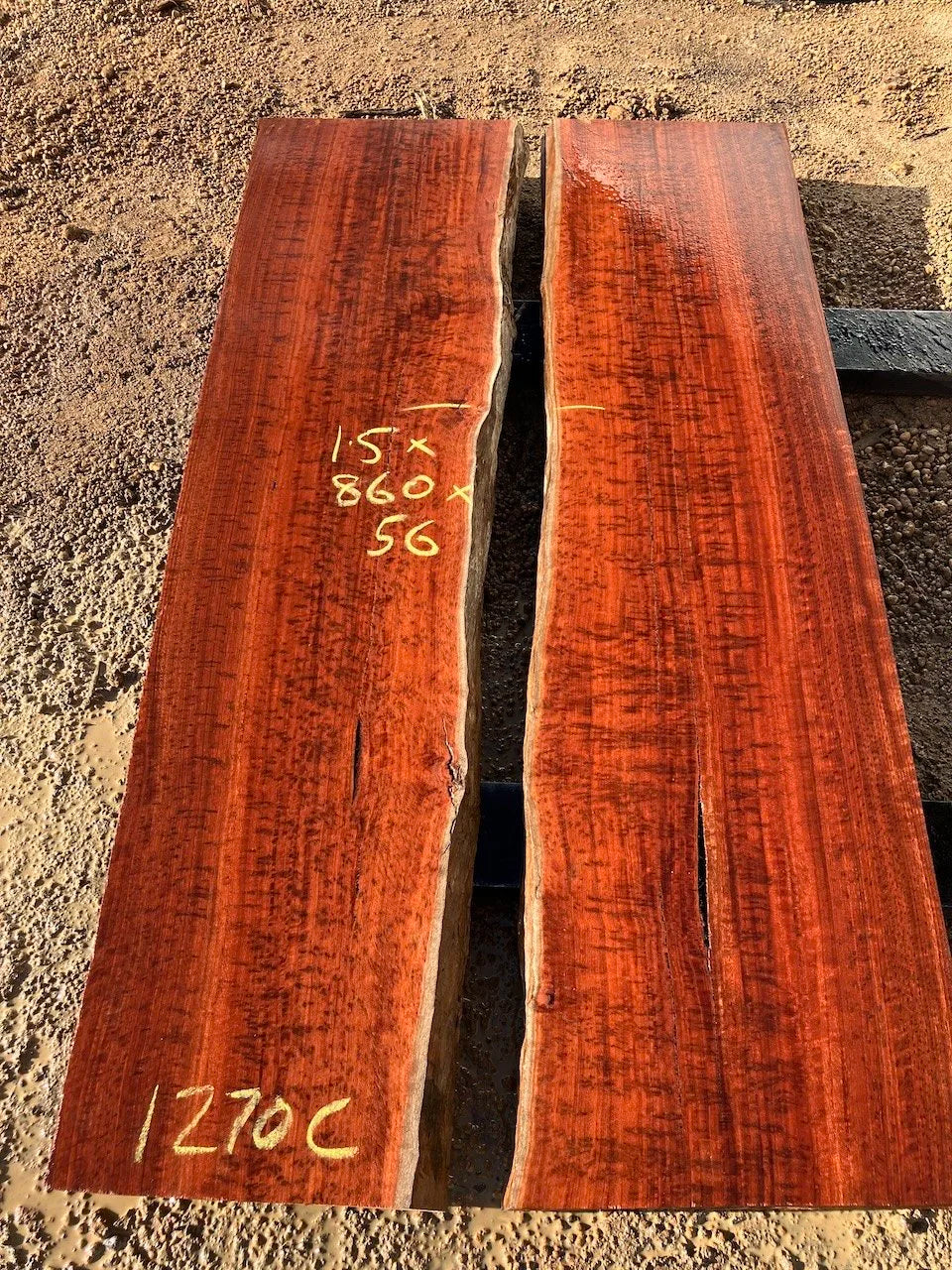 1270C Jarrah