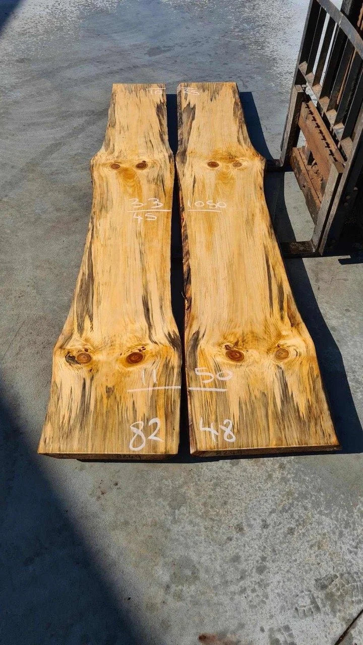 8248 Norfolk island Pine