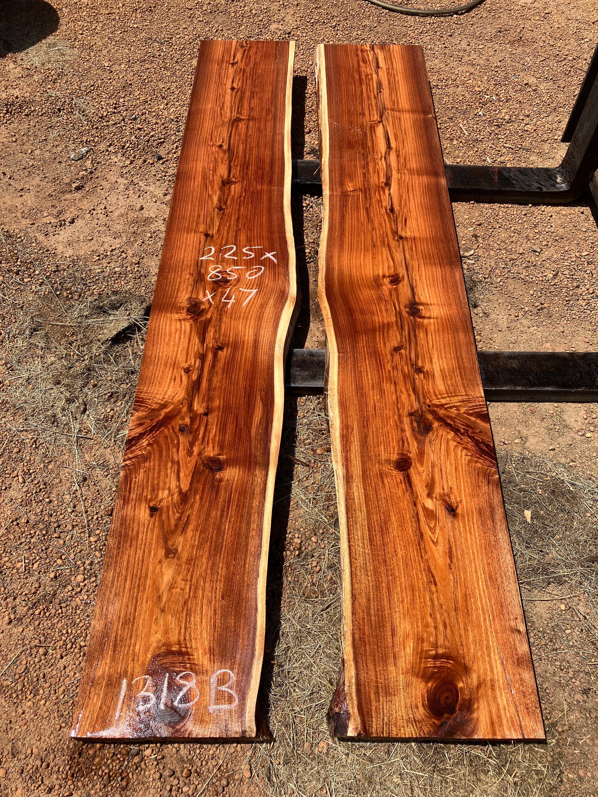 1318B Tassie Blackwood