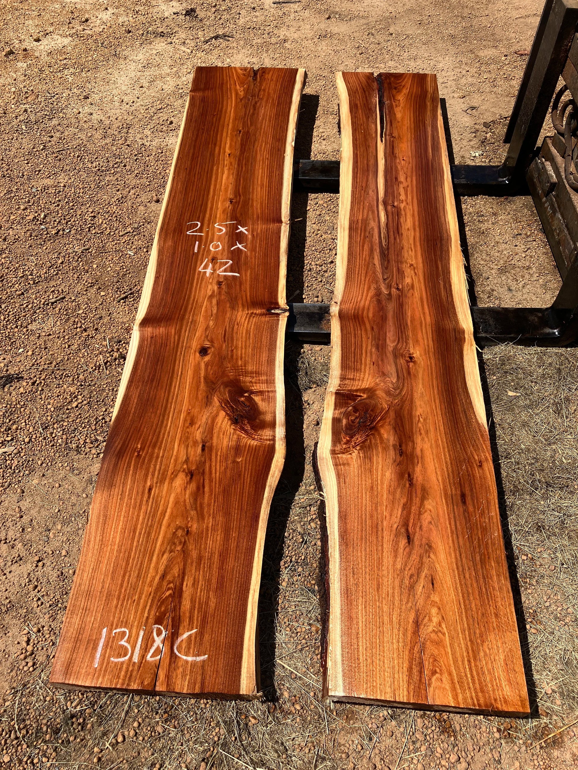 1318C Tassie Blackwood