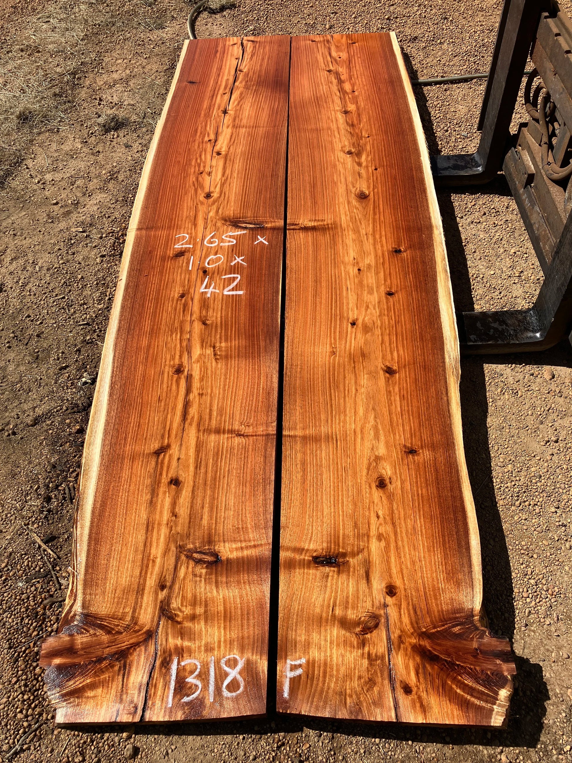 1318F Tassie Blackwood