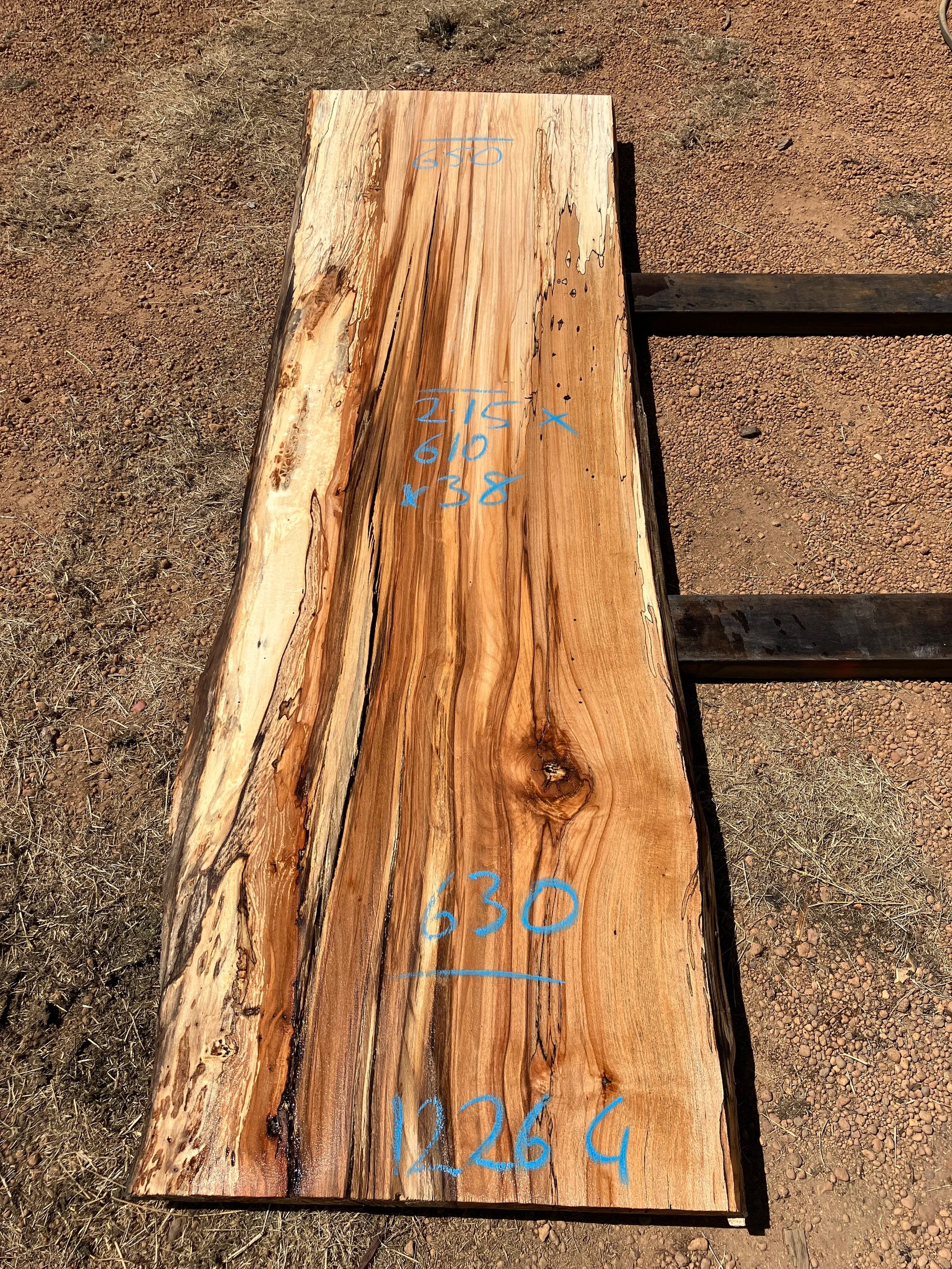 1226G Spalted Beech