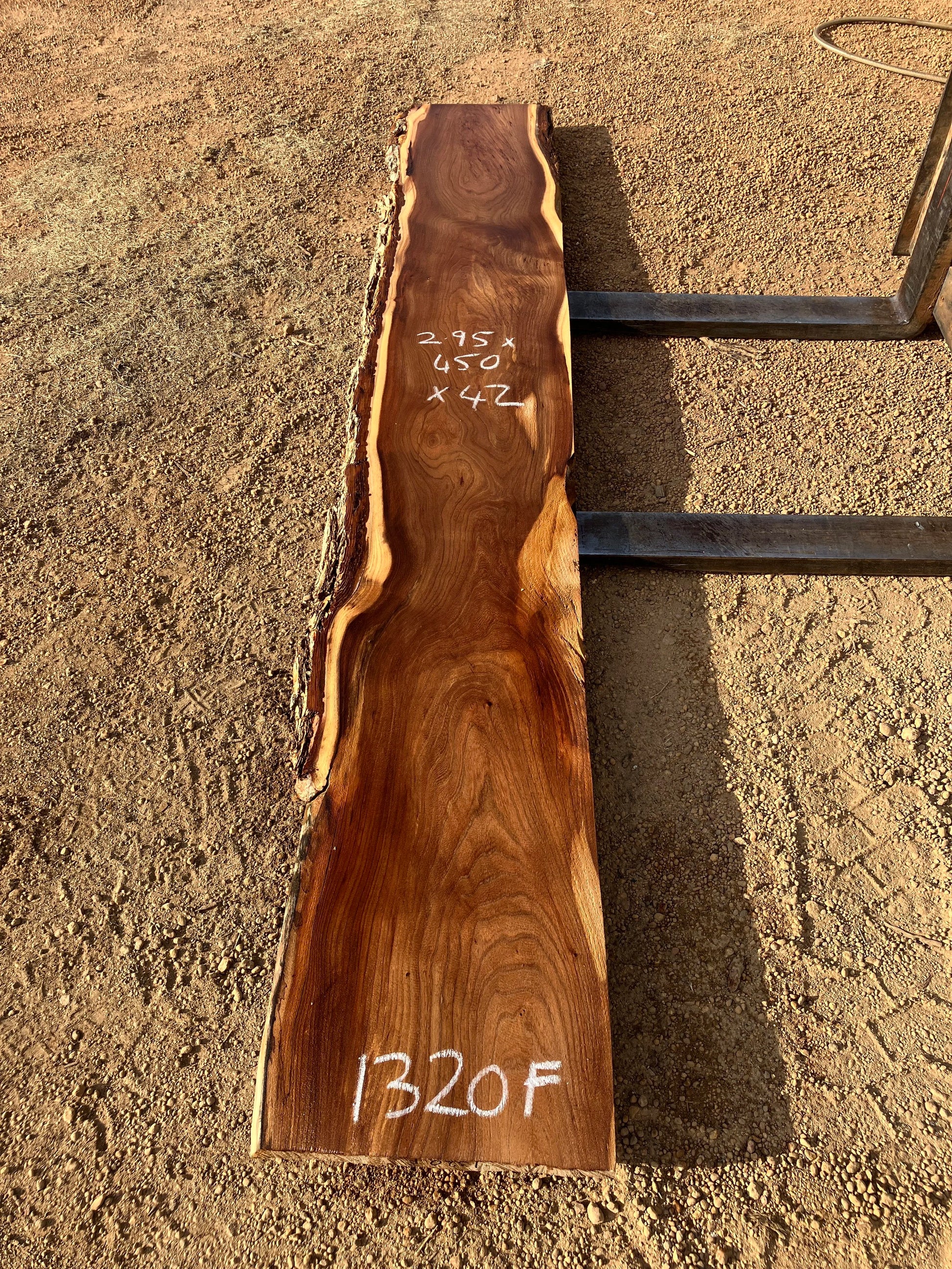 1320F English Elm