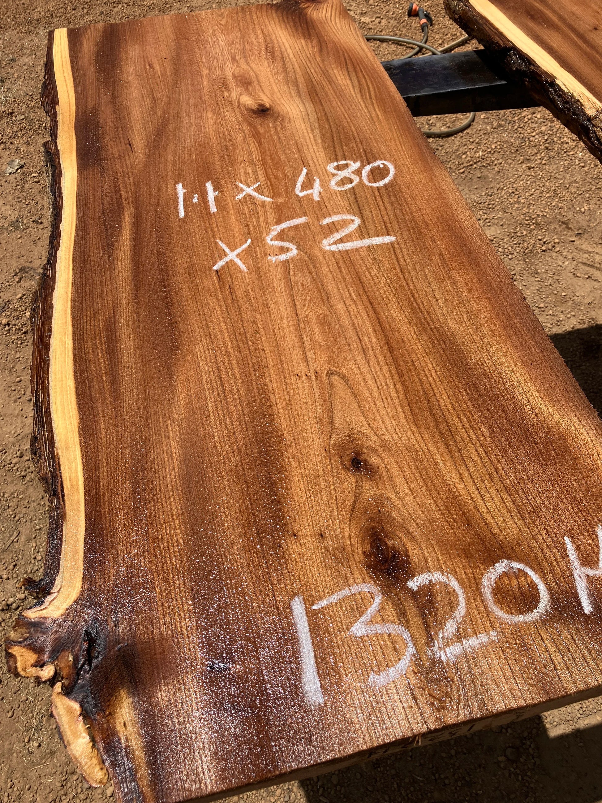1320H English Elm