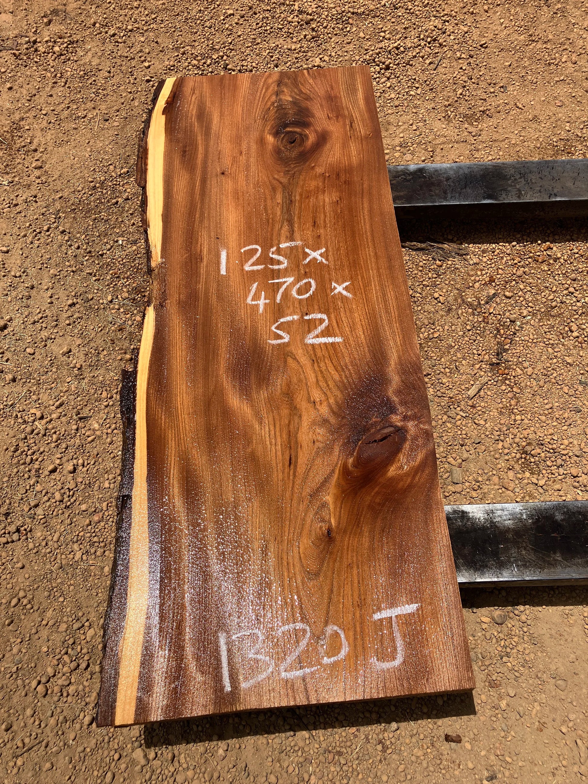 1320J English Elm