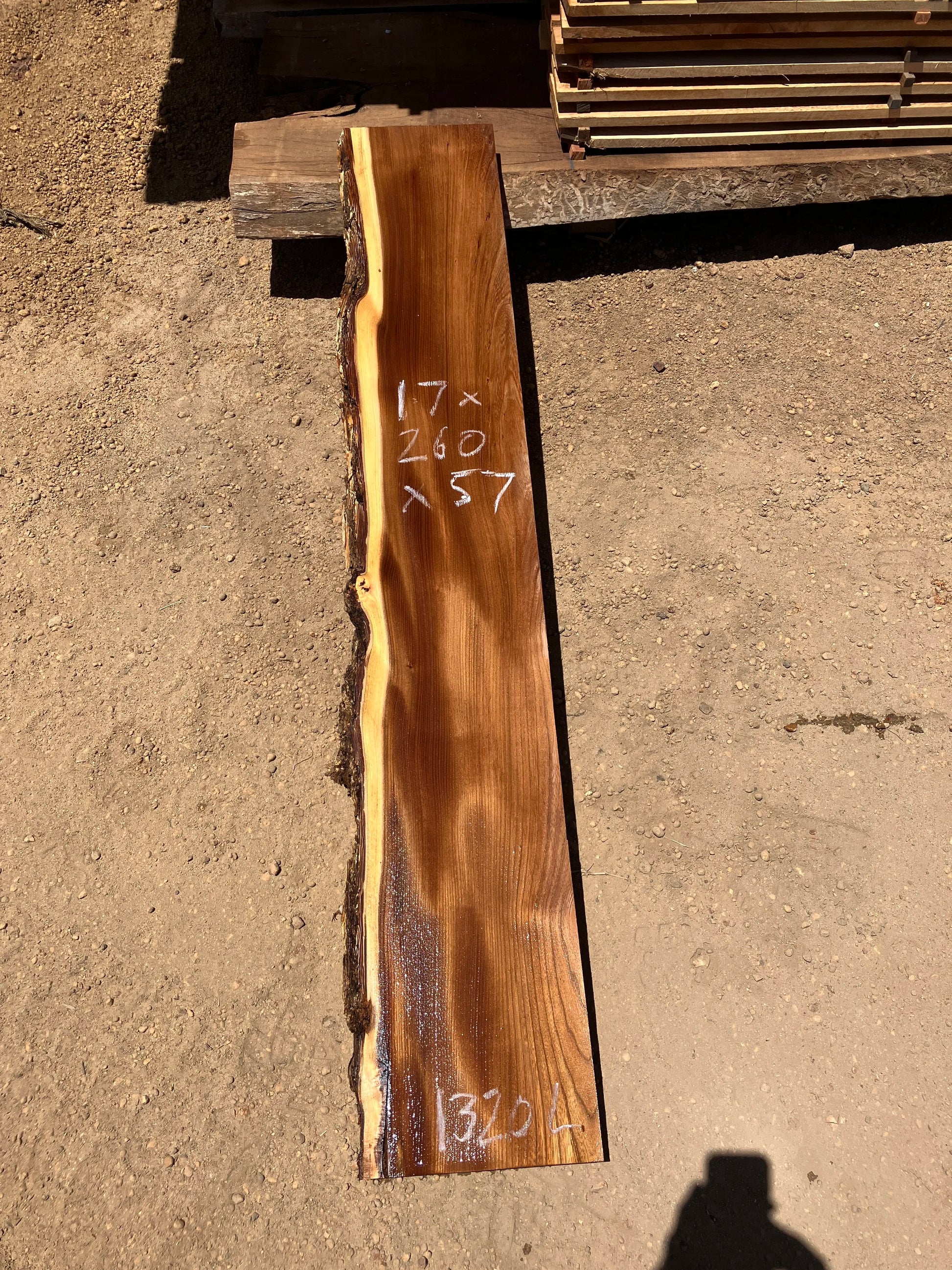 1320L English Elm