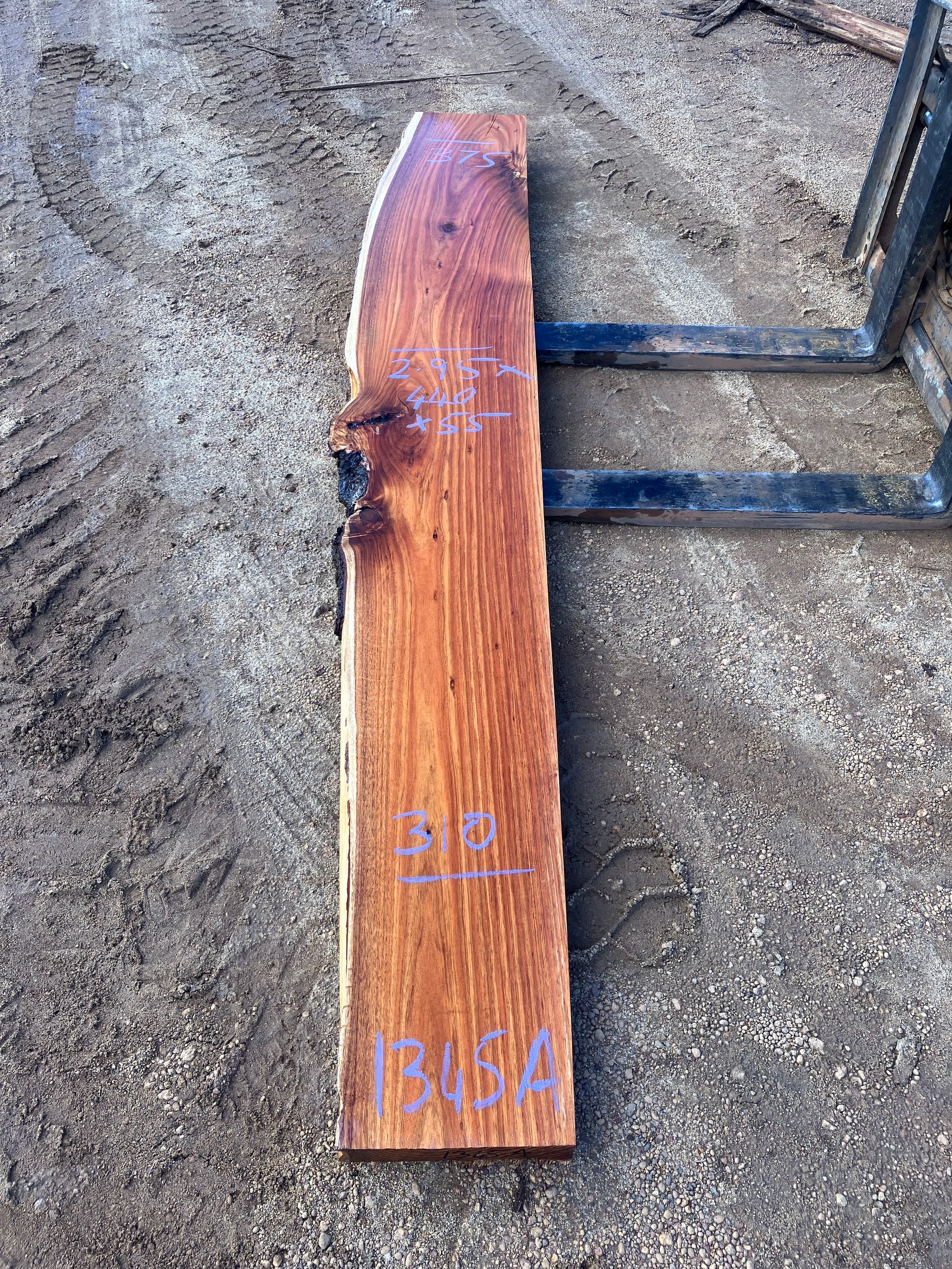 1345A Tassie Blackwood