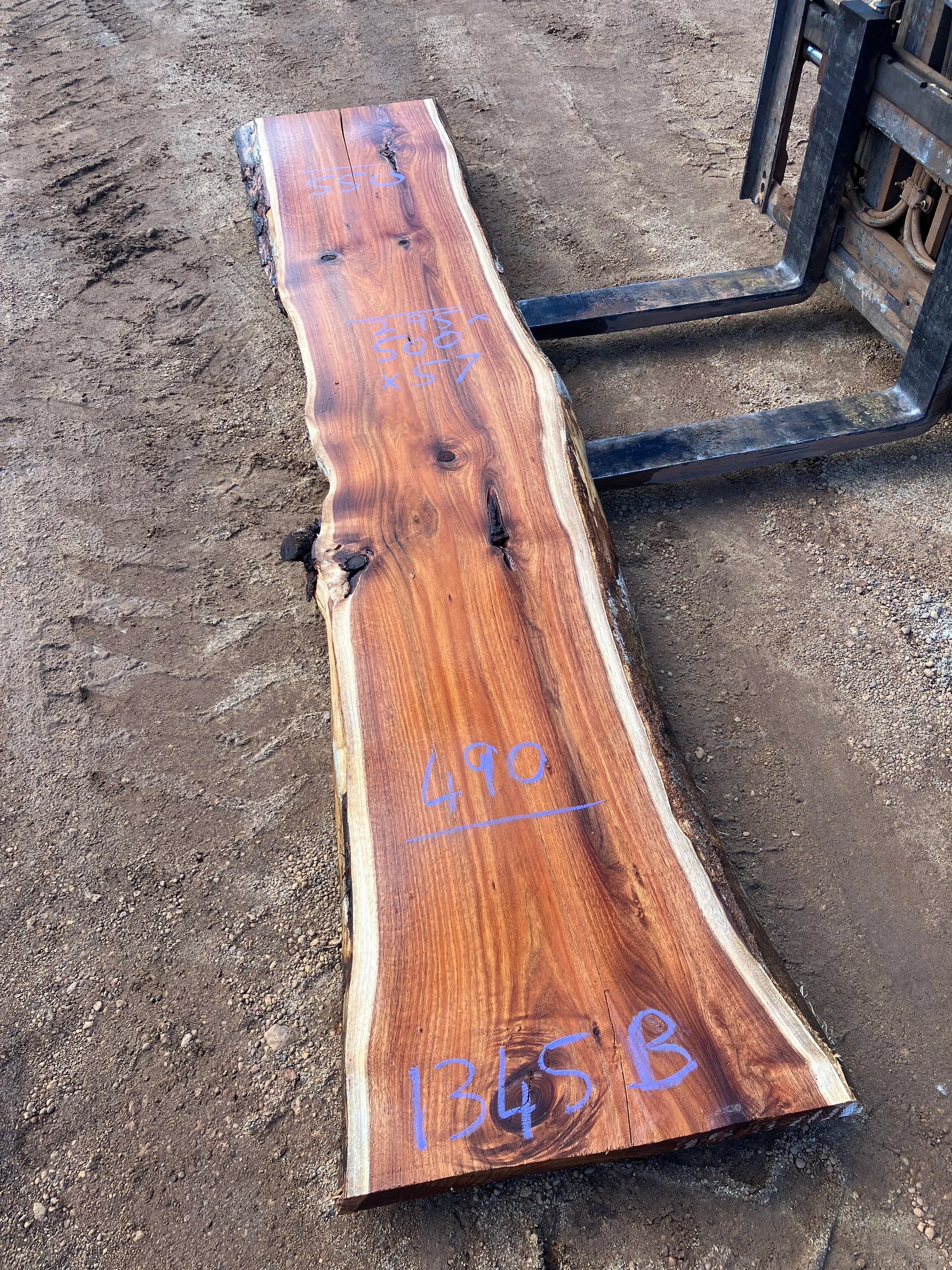 1345B Tassie Blackwood