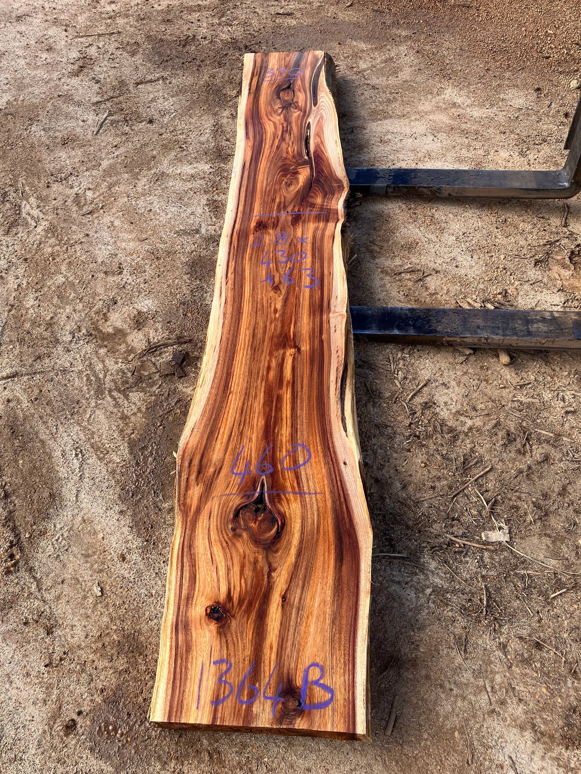 1364B Tassie Blackwood