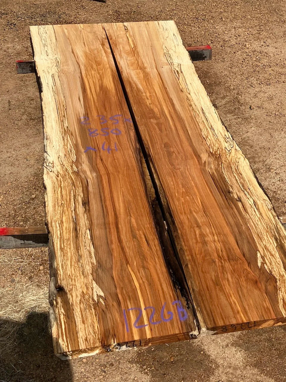 1226B Spalted Beech
