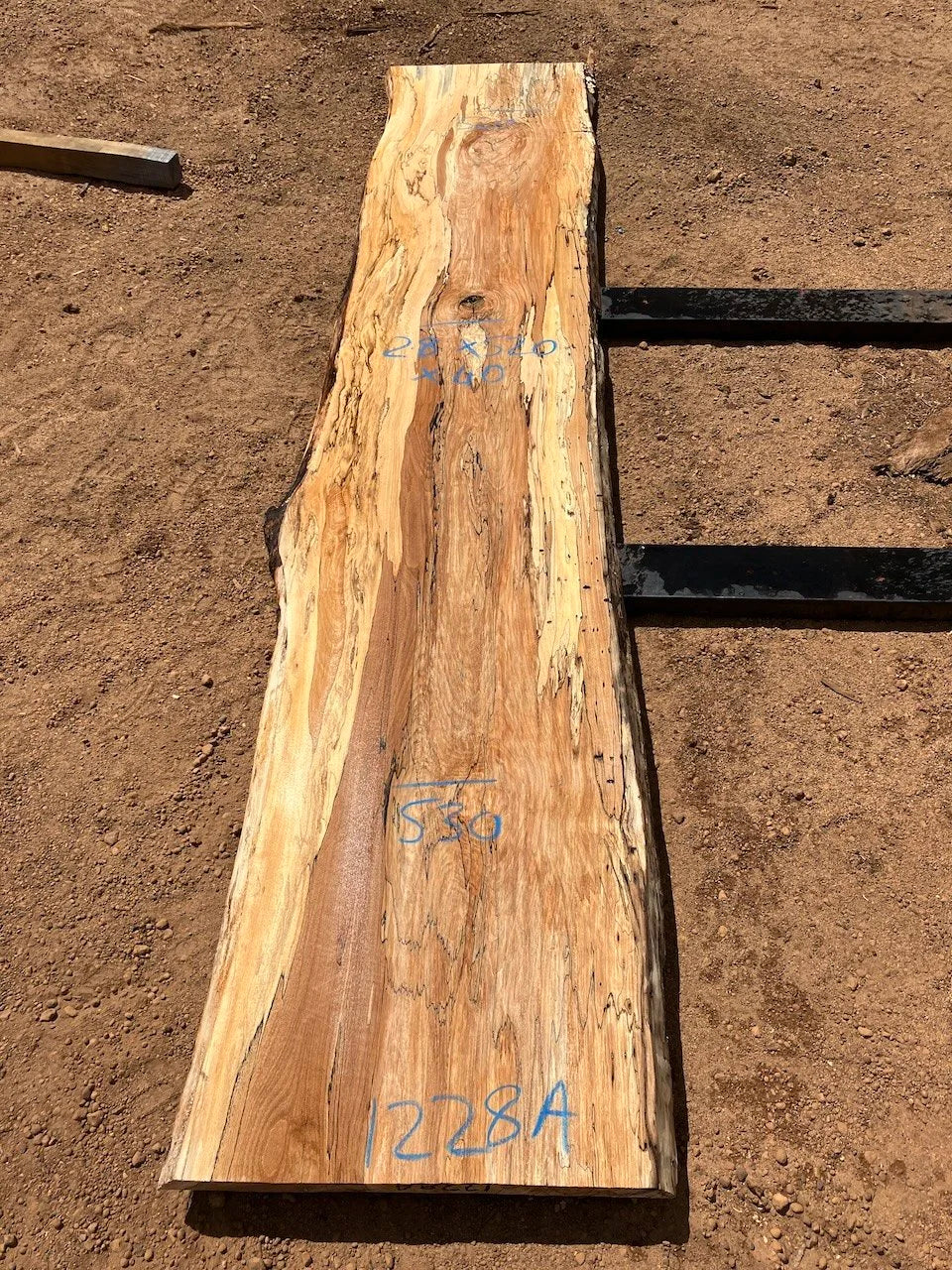 1228B (not A as in the photo) Spalted Beech