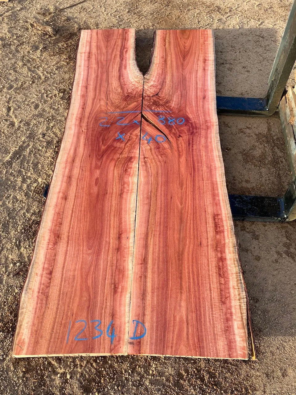 1234D Jarrah