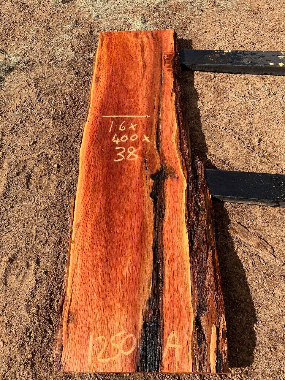1250A Sheoak