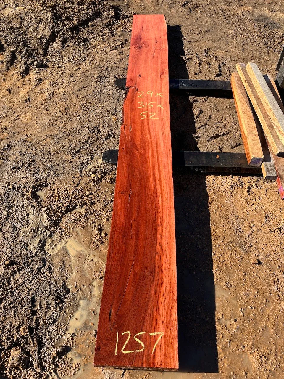 1257 Jarrah