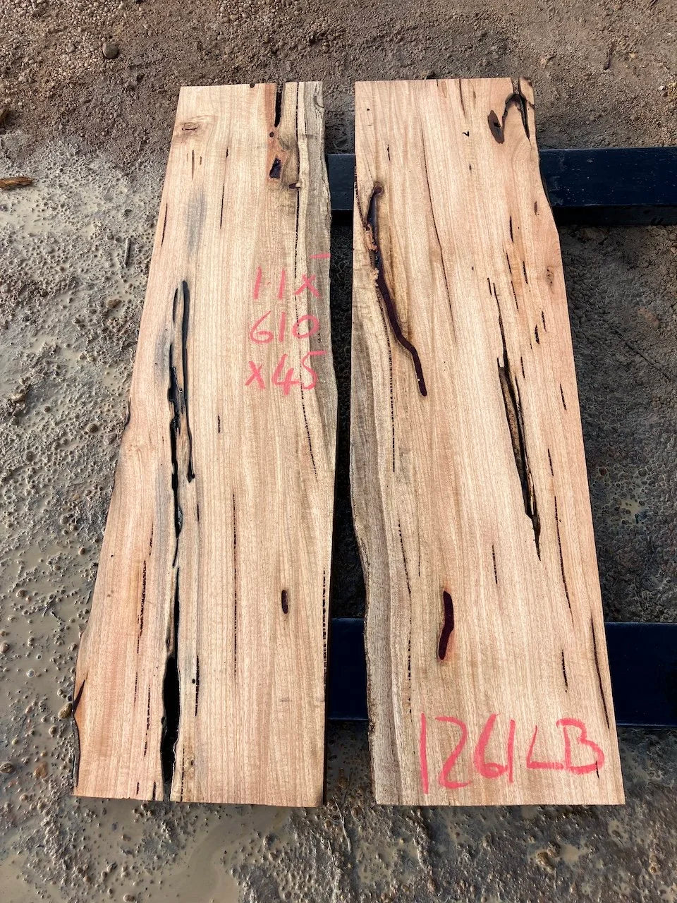 1261LB Marri