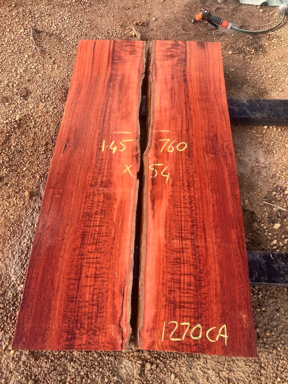 1270CA Jarrah