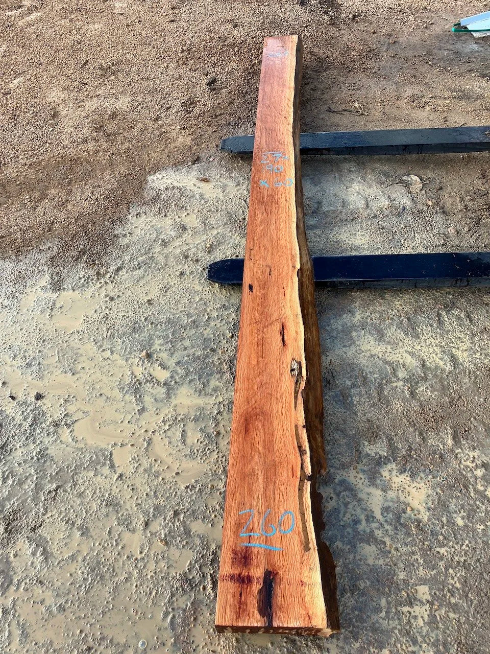 1272 Sheoak