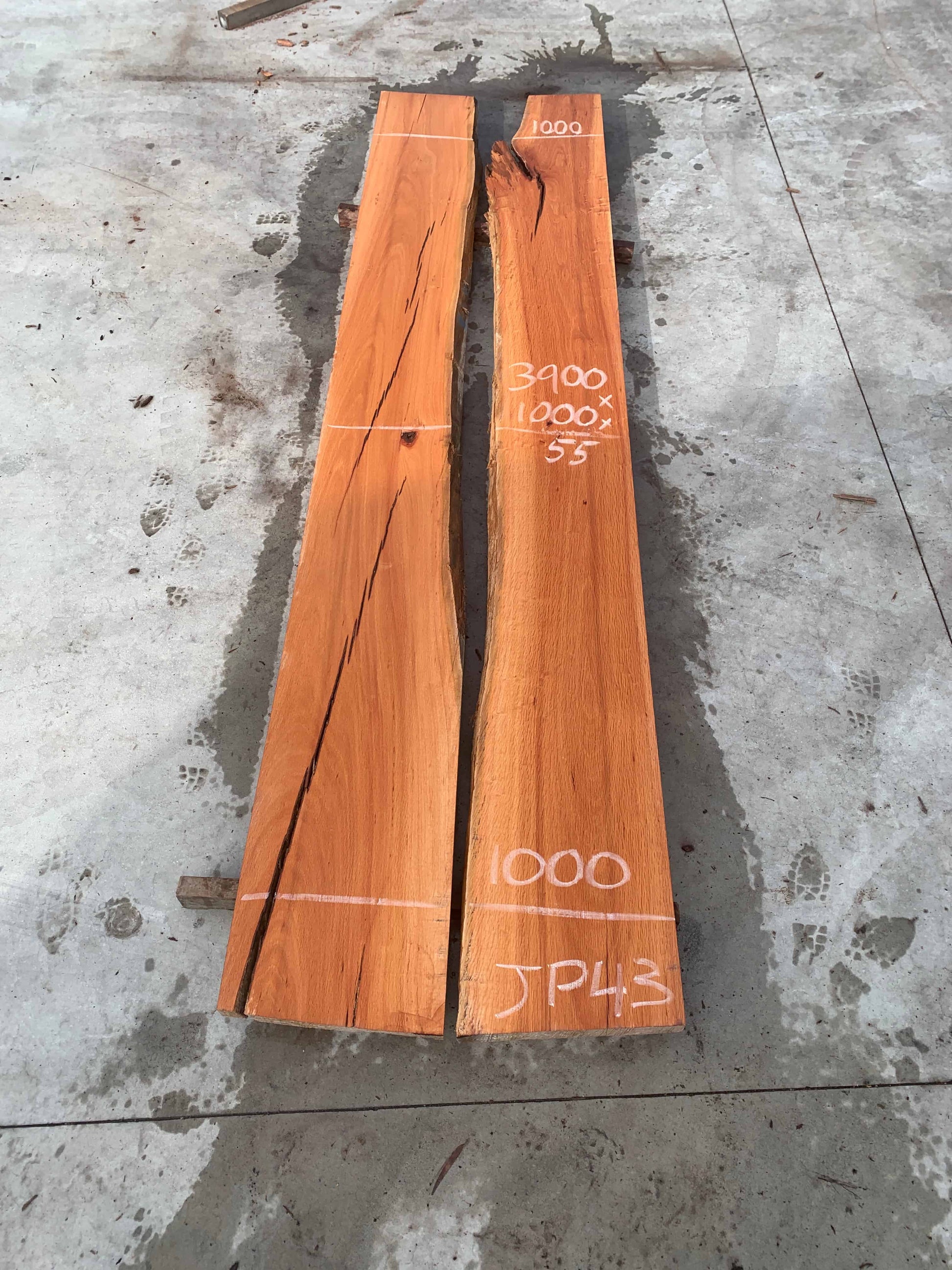 JP43 Sheoak