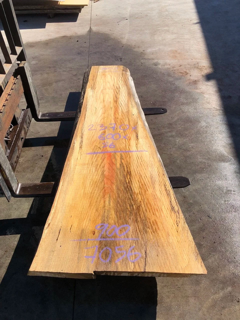 7056 Red Oak