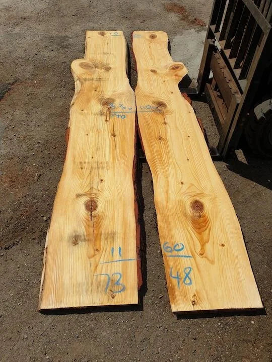 7348 Red Pine