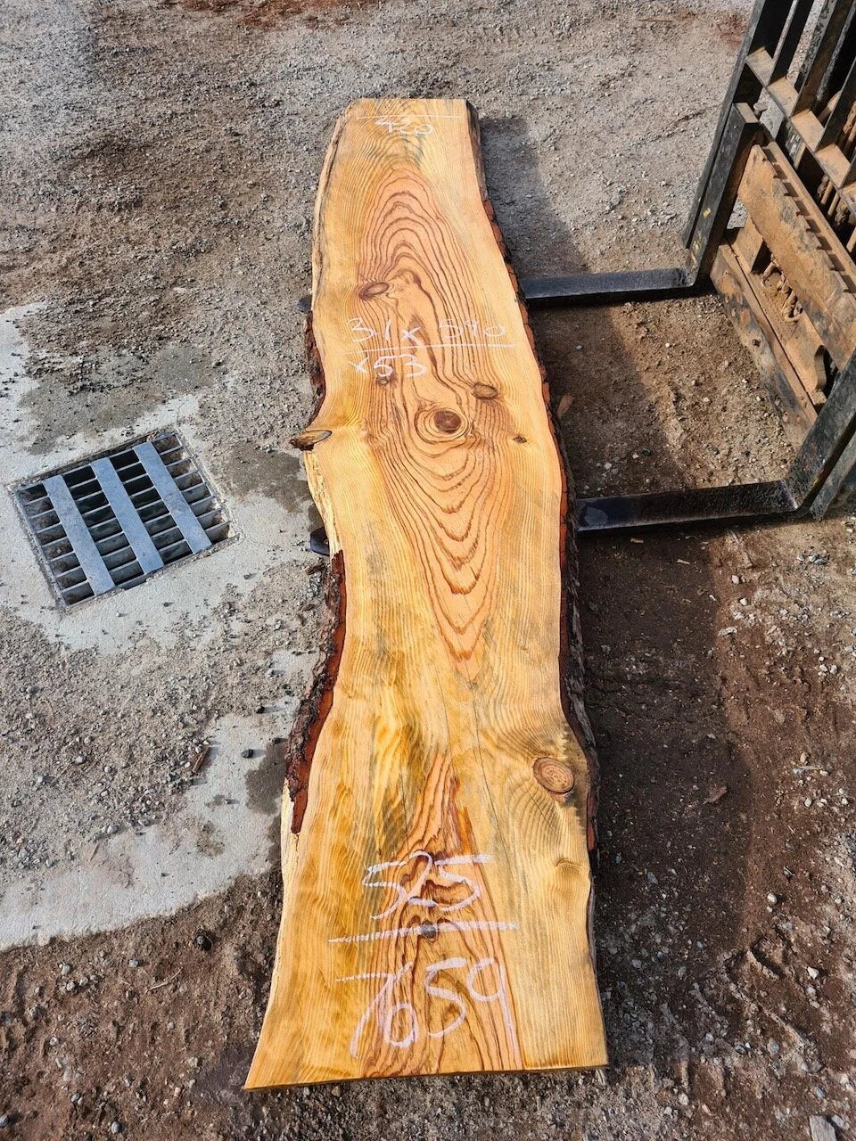 7659 Red Pine