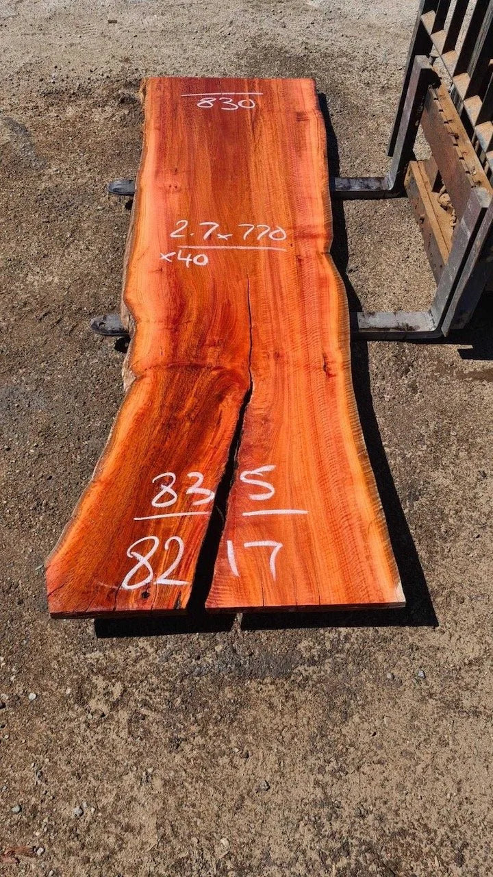 8217 Jarrah
