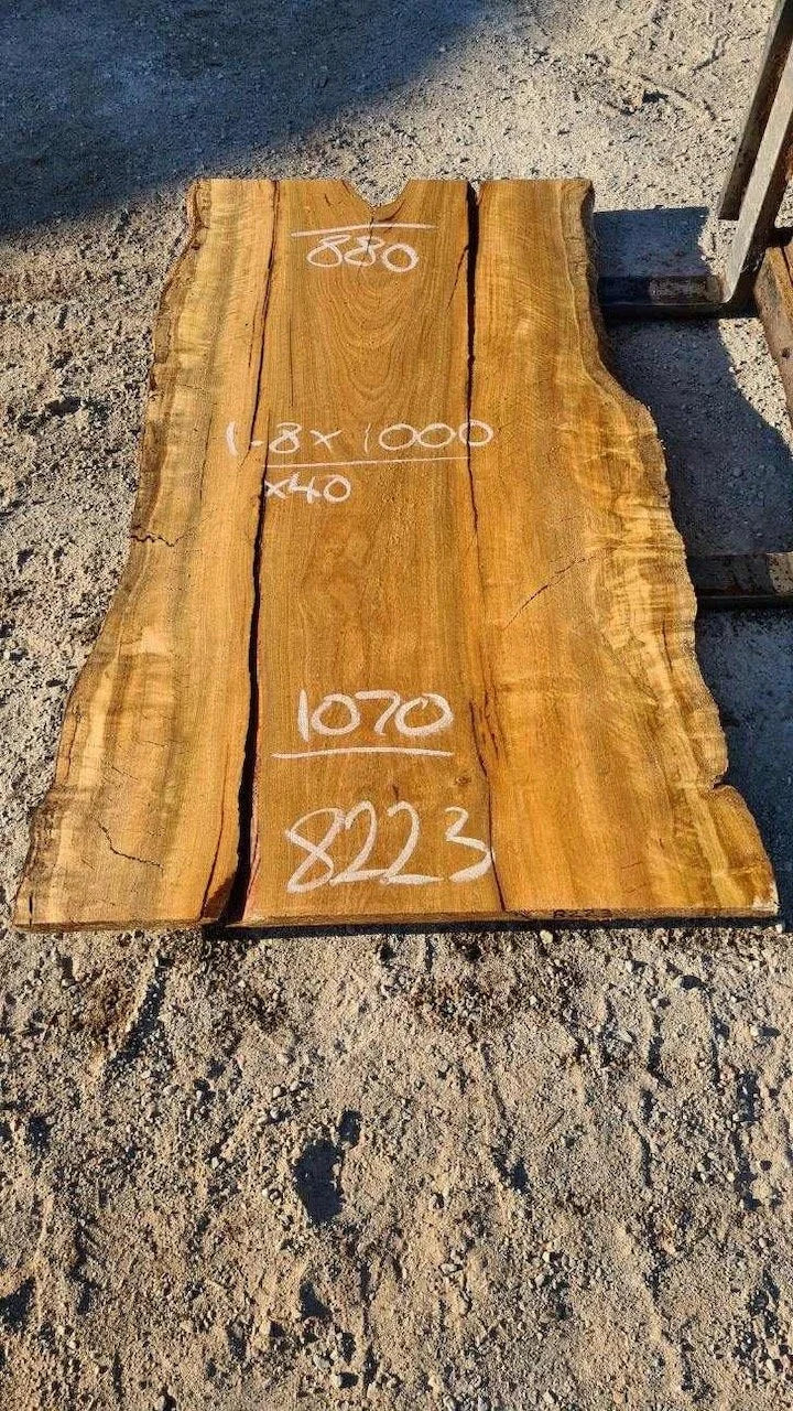8223 Marri