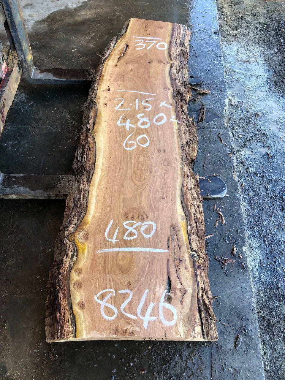 8246 Blackbutt
