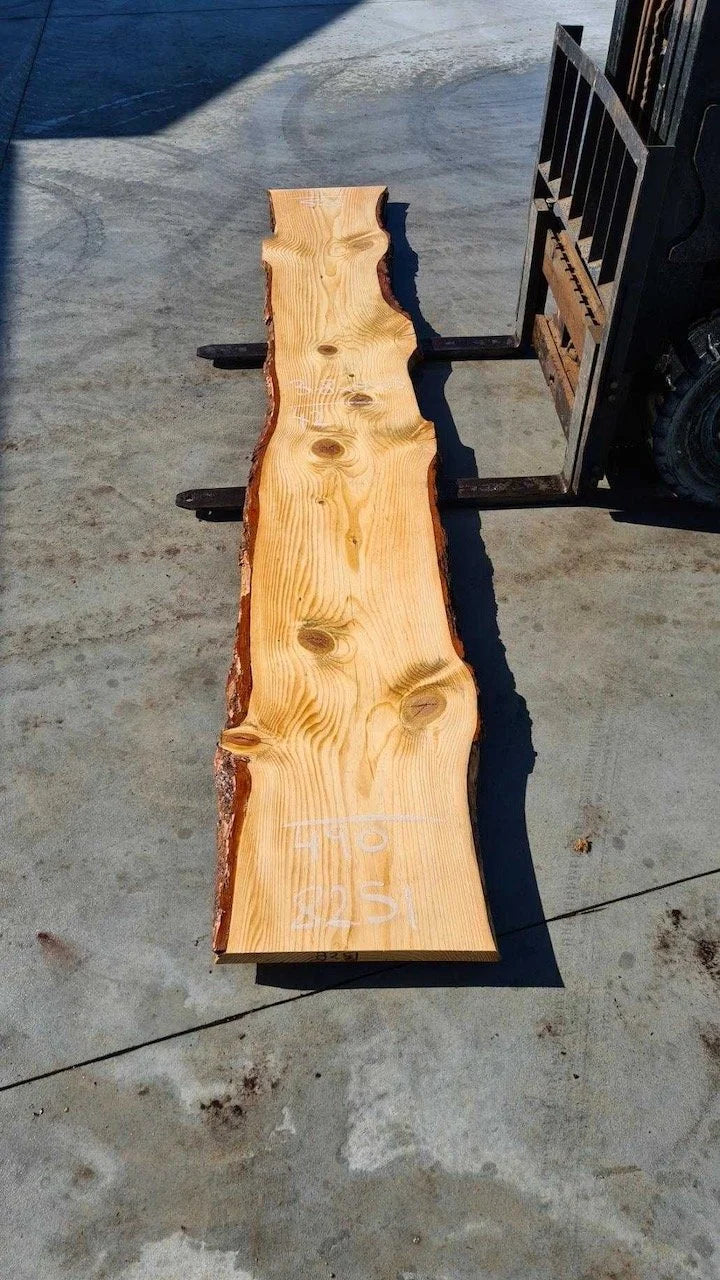 8251 Red Pine