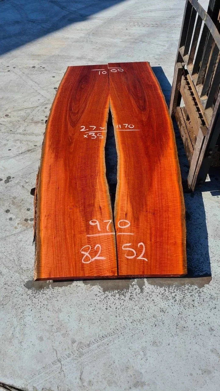 8252 Jarrah