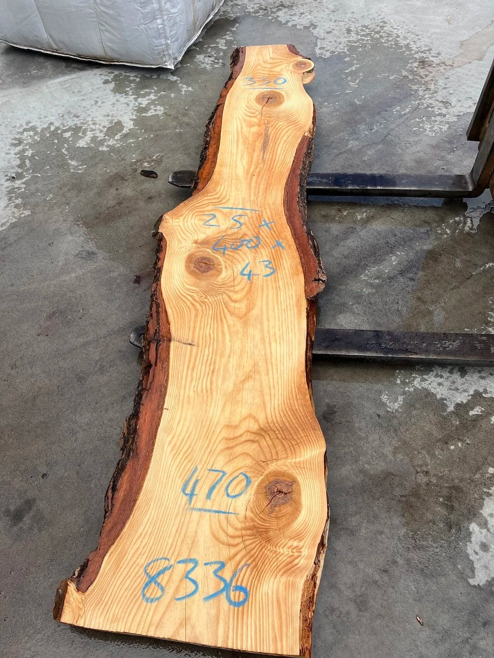 8336 Red Pine