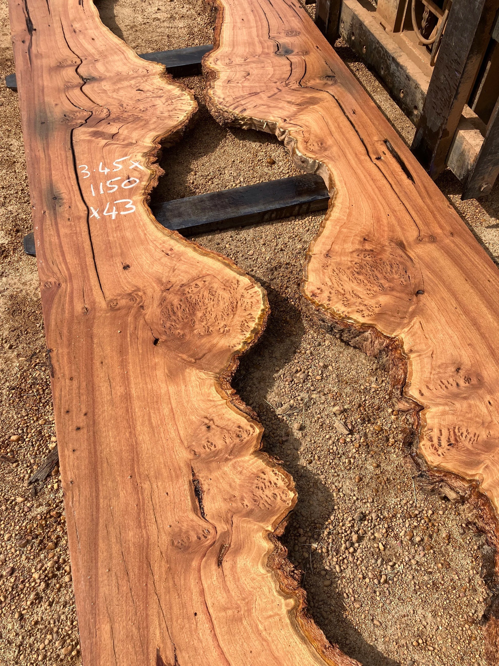 1312X Blackbutt