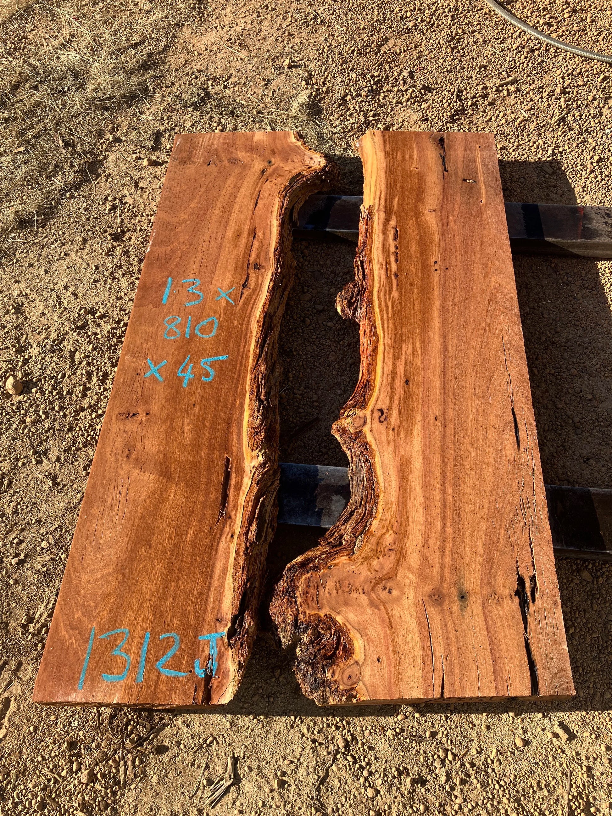 1312J Blackbutt