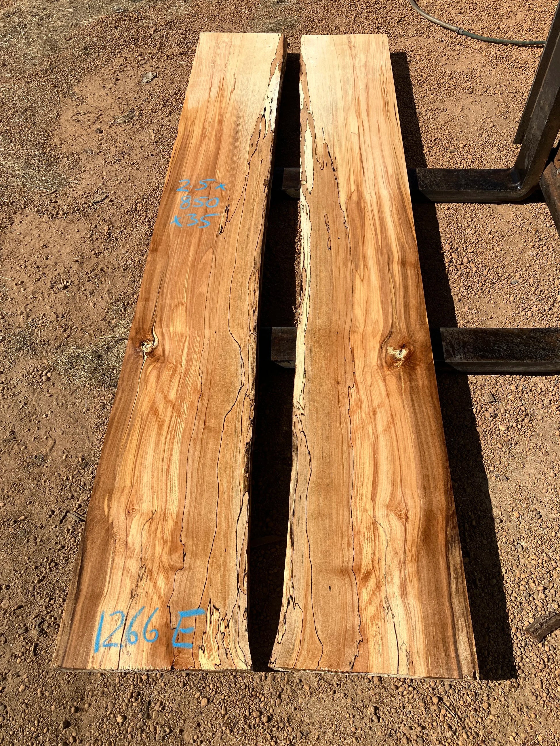 1226E (not 1266E as in photo) Spalted Beech