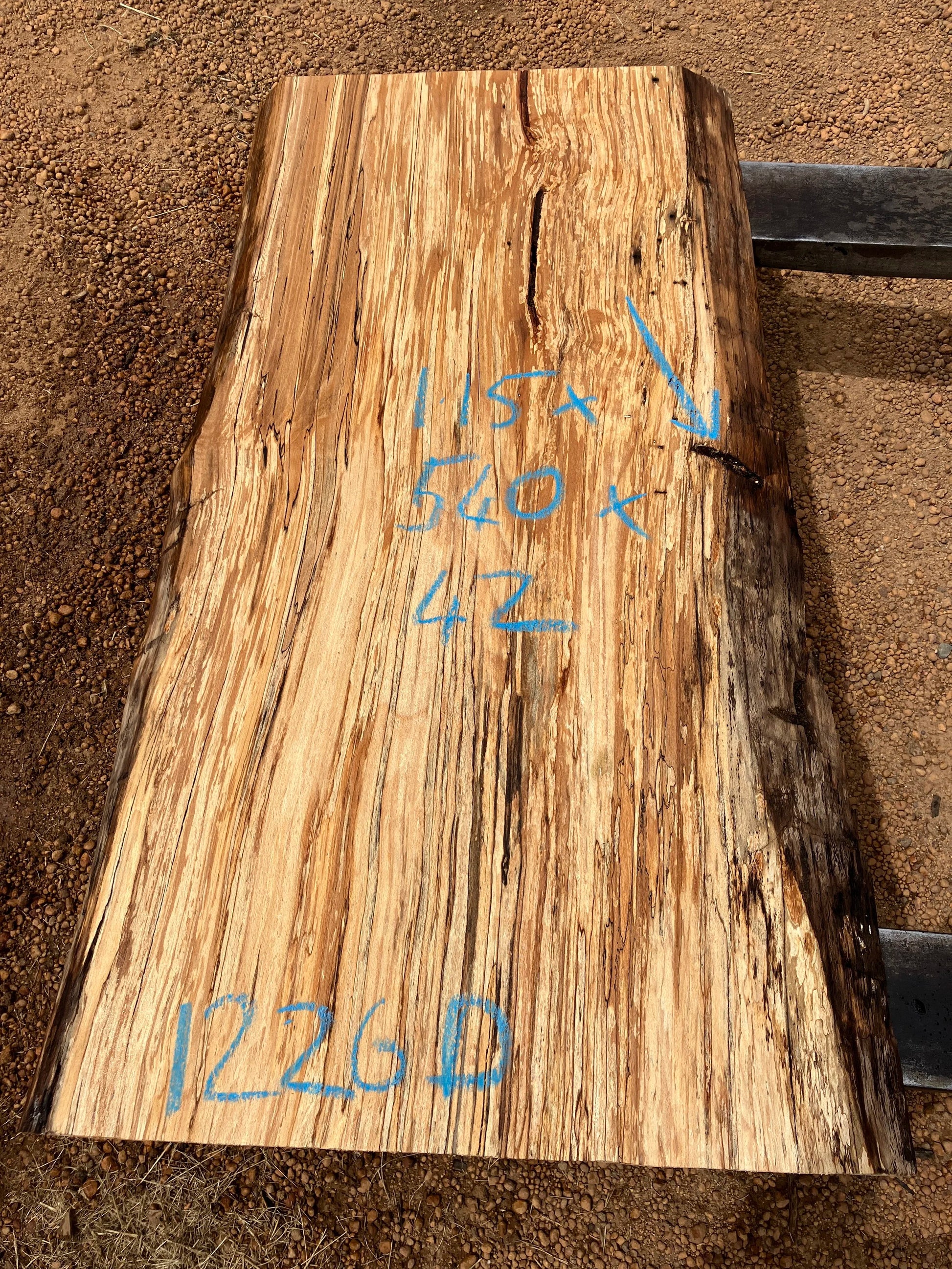 1226D Spalted Beech