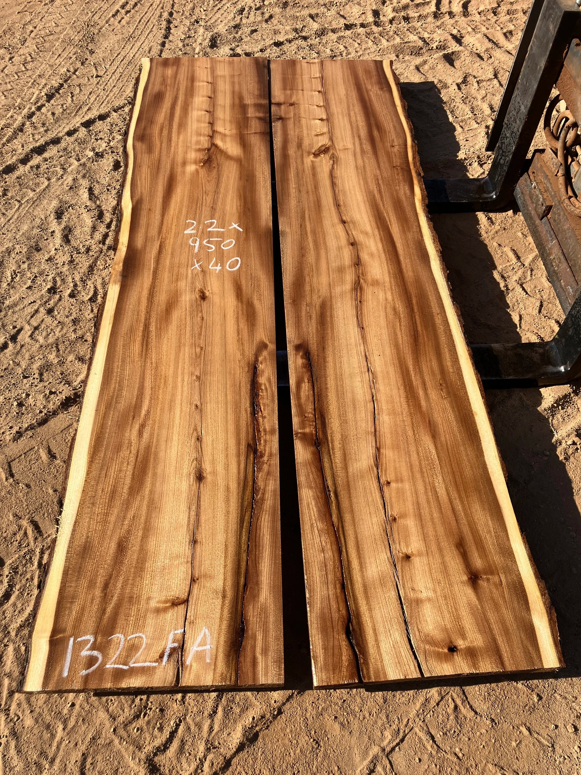 1322FA English Elm