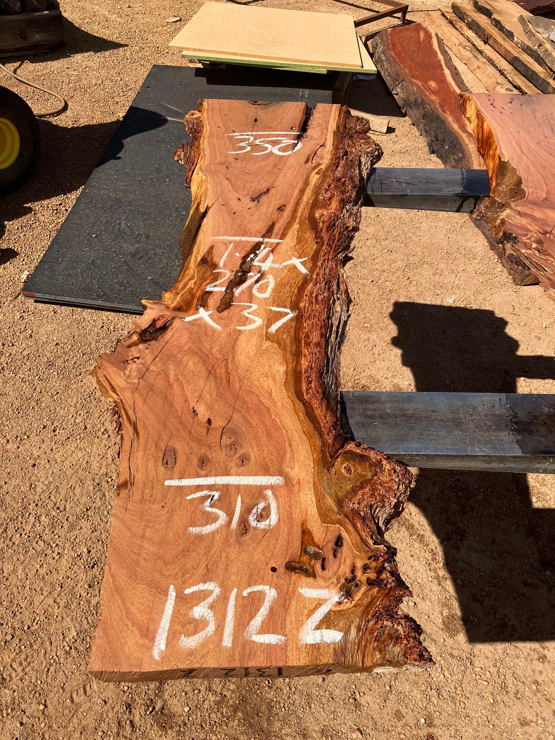 1312Z Blackbutt