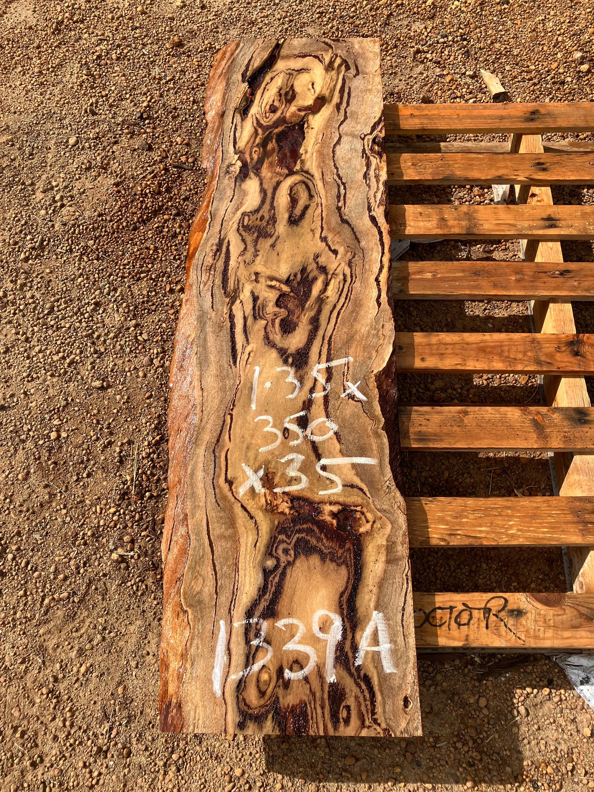 1339A Marri